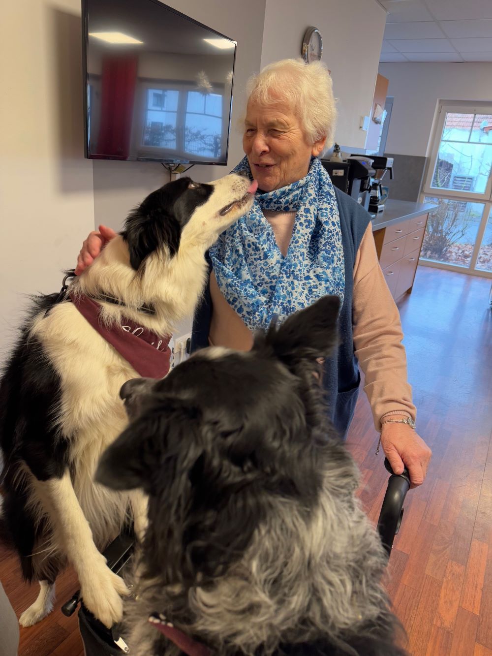 Besuchshunde Finley und Elvis im Haus Antonius