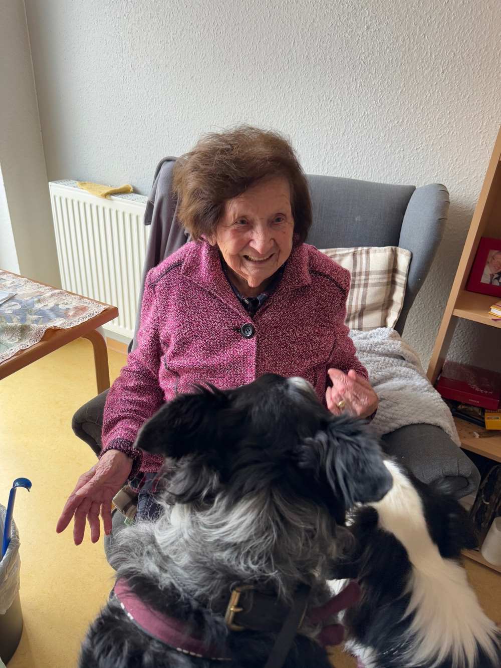 Besuchshunde Finley und Elvis im Haus Antonius