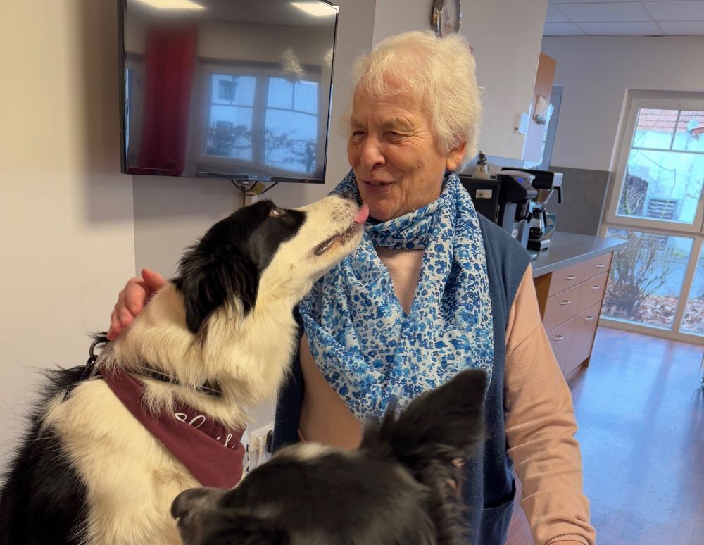 Tierischer Besuch: Finley und Elvis im Haus Antonius