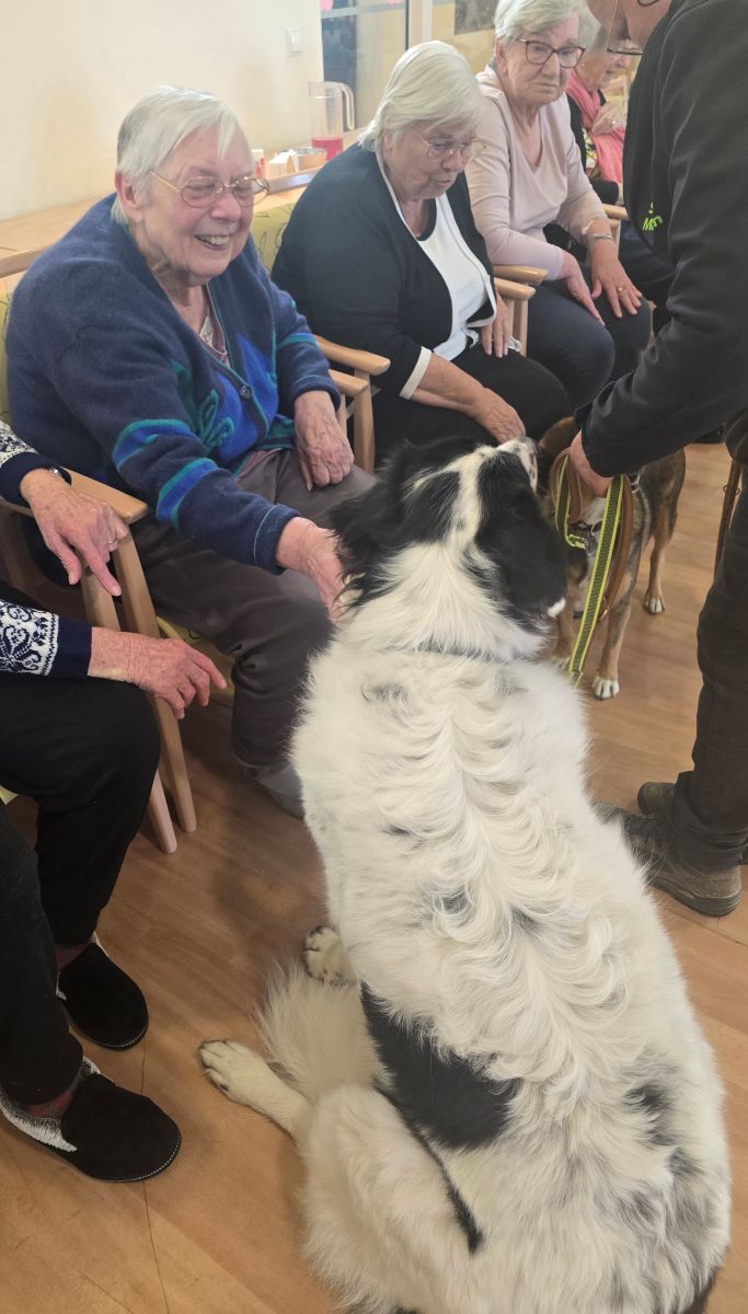 Streichelrunde im Haus Lukas: Hundebesuch