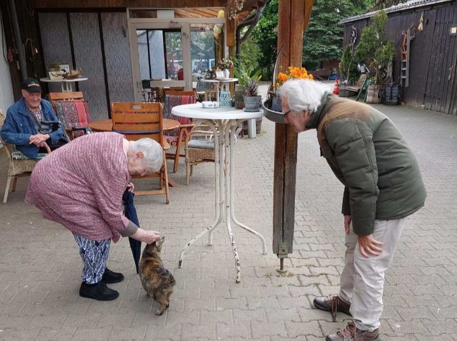 Regelmäßiger Ausflug zum Schwillehof: Ein Stück Natur, das Herzen öffnet
