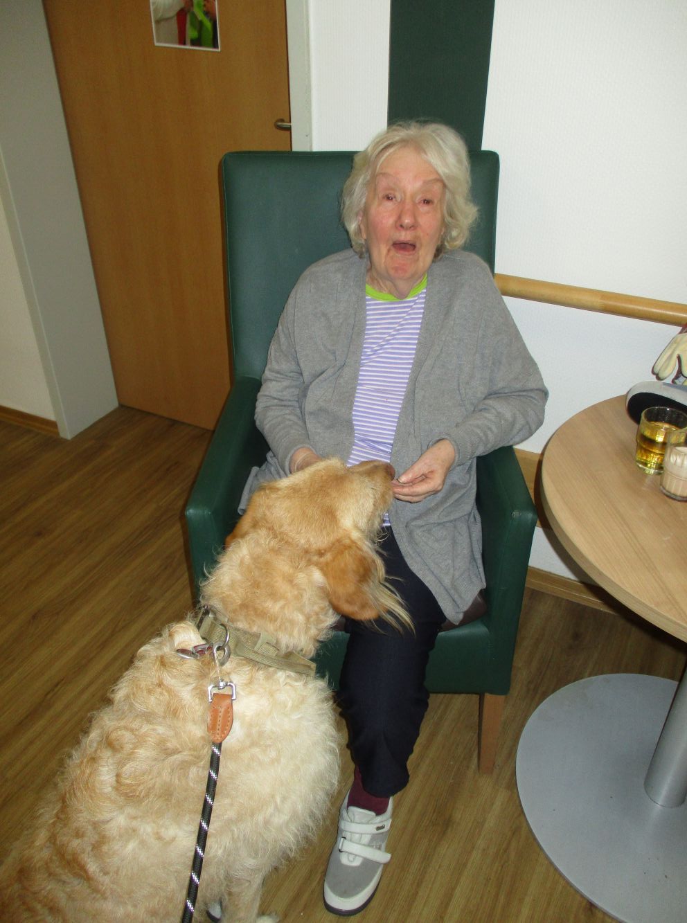 Besuchshund Sammy begeistert Bewohner der Wohnanlage Am Alten Stadttor