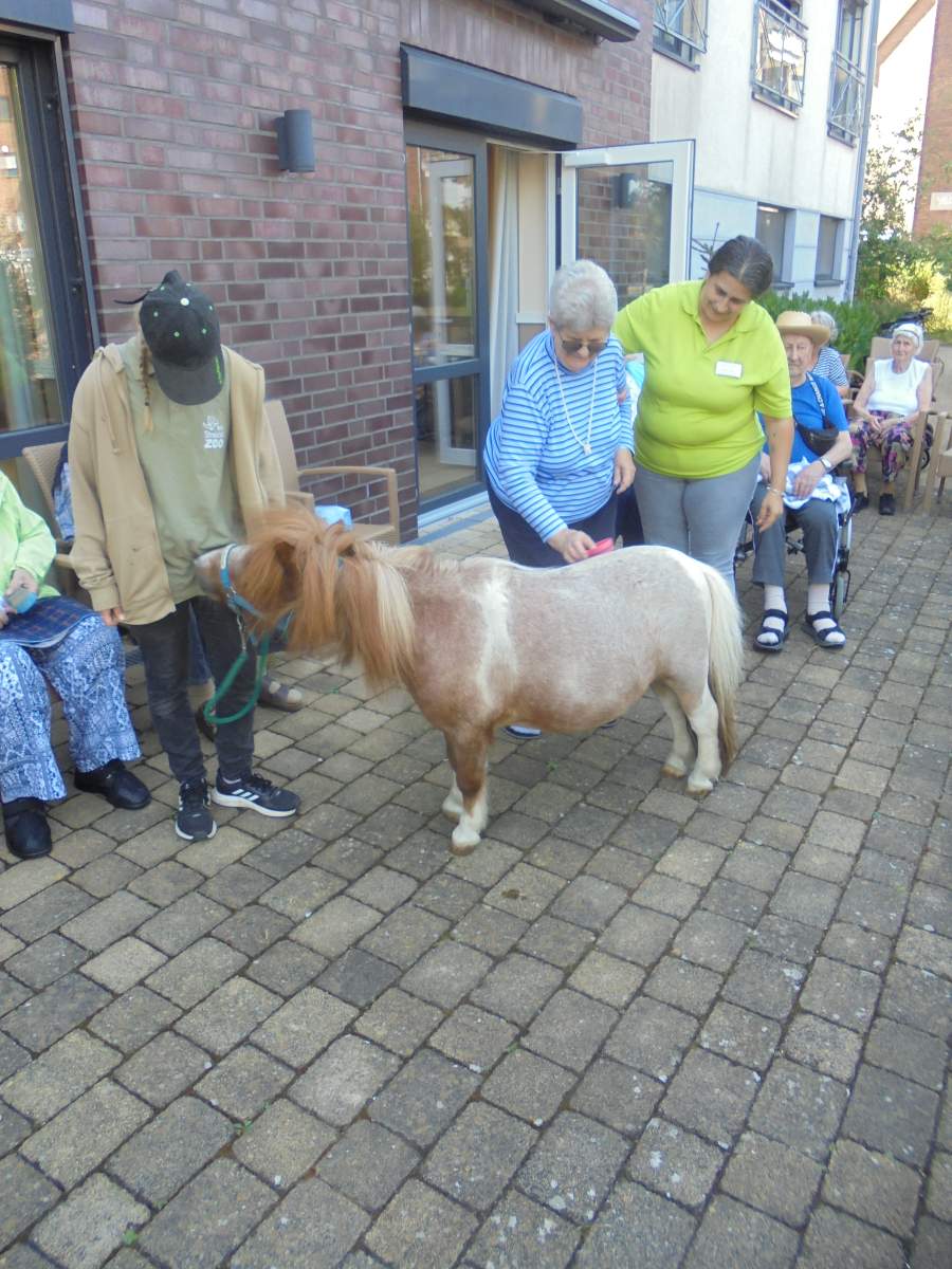 Tierischer Besuch im Haus Walter Esser – Esel und Pony begeistern Senioren
