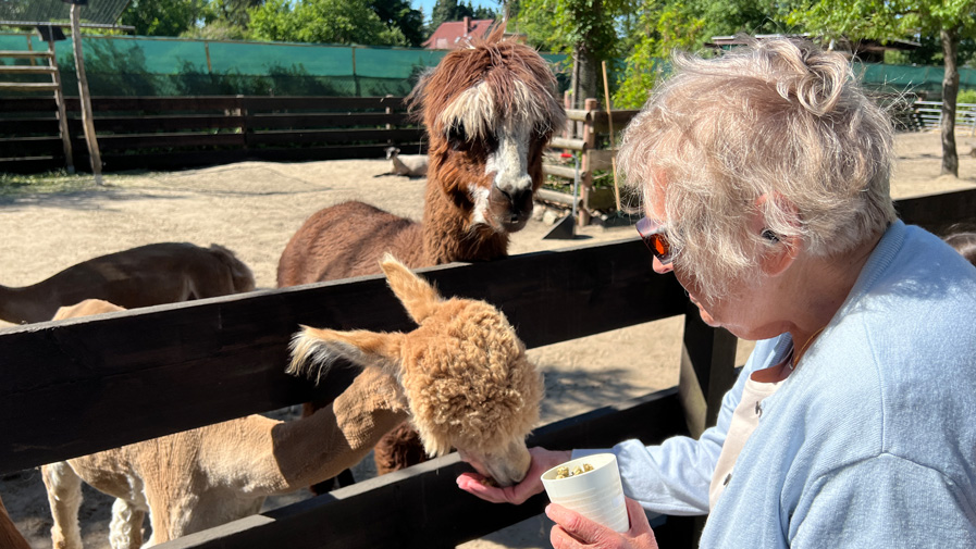 Boe-Excursion-Baurnhof-1.jpg
