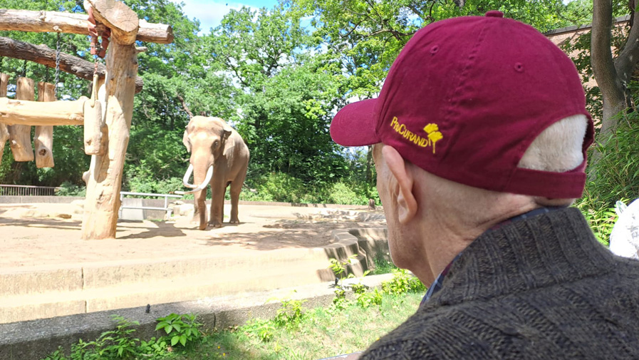 Boe-Zoobesuch-3.jpg