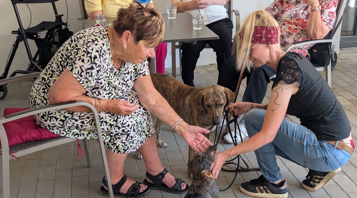 Therapiehunde in der Tagespflege Eberswalde