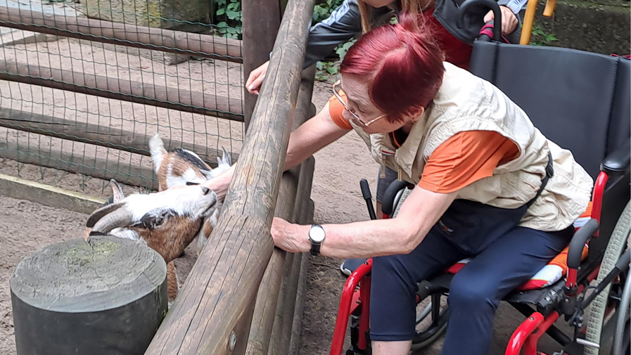 Ew-Zoobesuch-1.jpg
