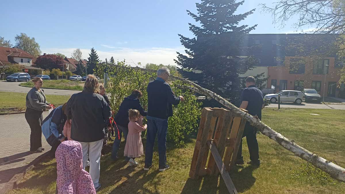 Maibaumtradition in Grebs mit der Kita Haus Sonnenschein