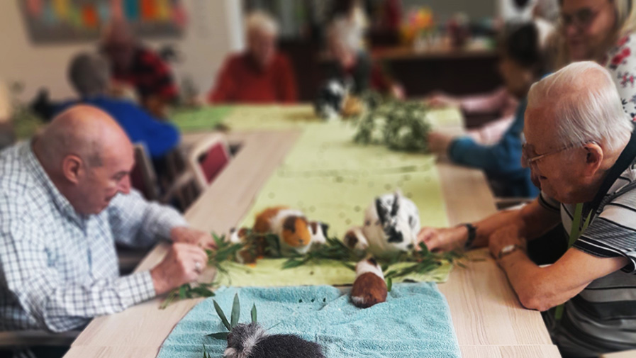 Animal visit to the day care centre in Halle