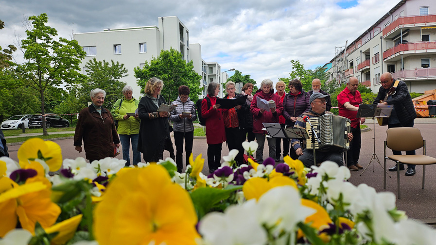 Halle Büschdorf sings again