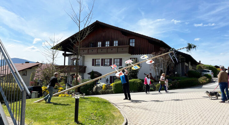 LAM-Maibaum-Intranet1-750x410.jpg