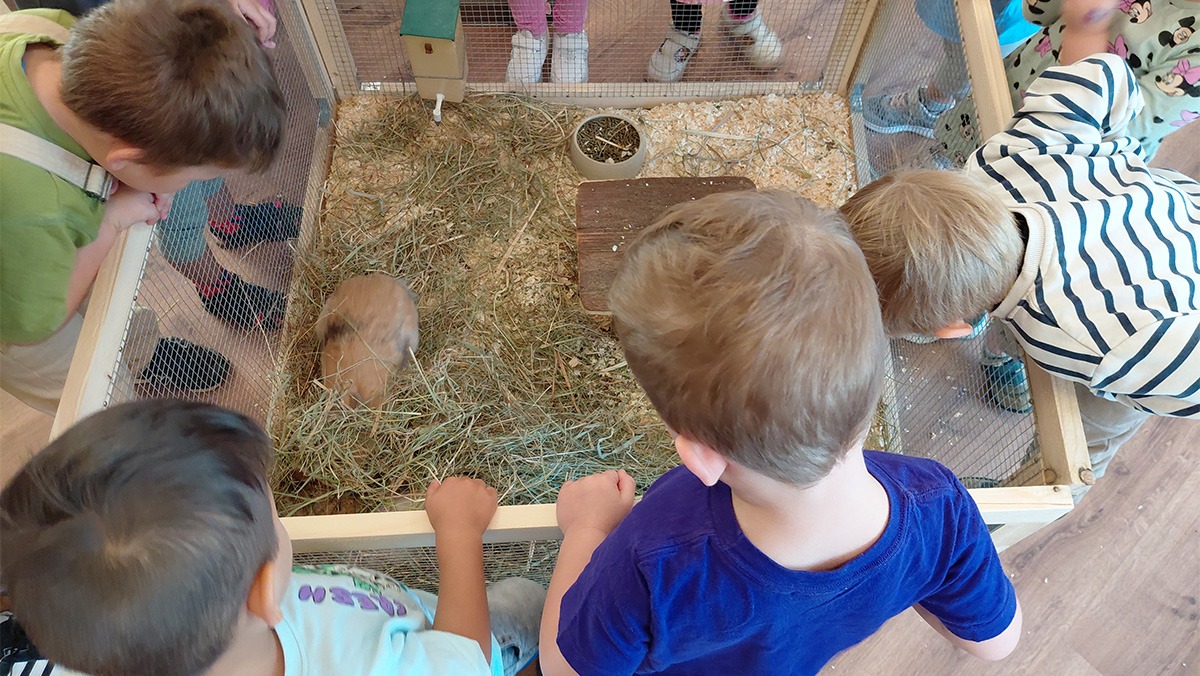 Kaninchen und Meerschweinchen sorgten wieder für viel Freude